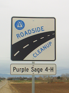 Roadside-Cleanup